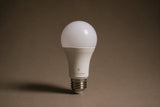 Blue Zero E27 RESET Light Bulb