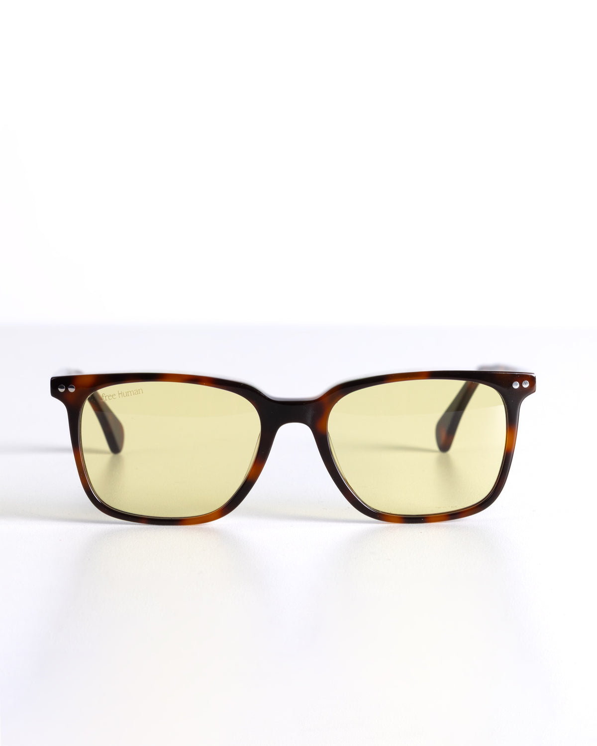 Gafas FOCUS HABANA