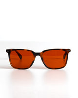 Gafas FOCUS HABANA