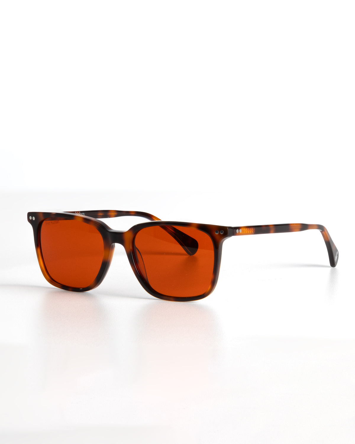 Gafas FOCUS HABANA